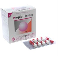 Ampicillin 500mg Vidiphar H/100V