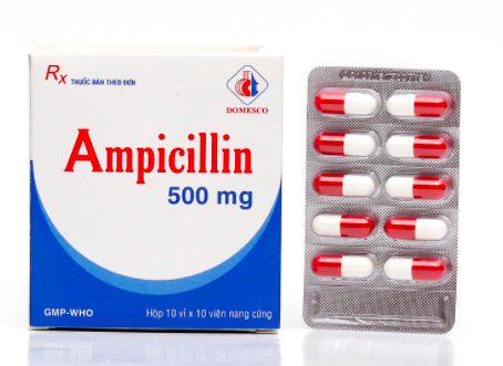 Ampicillin 500mg - Domesco (H/100V)