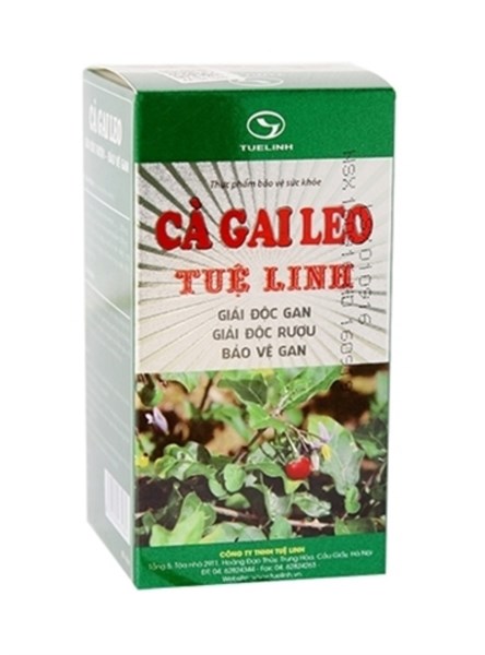 Cà Gai Leo Tuệ Linh C/60V