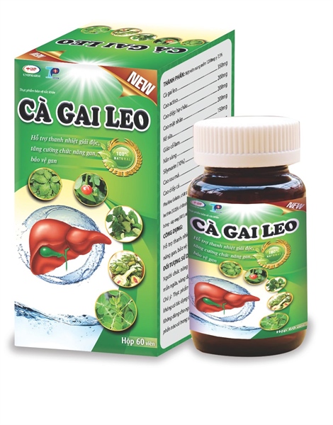 Cà Gai Leo (C/60V)
