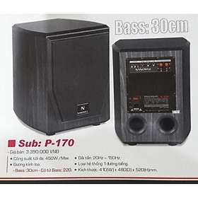 Sub Nanomax P-170