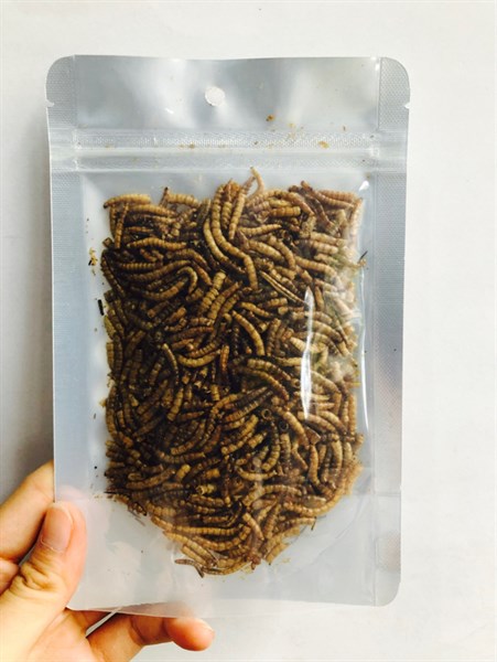 Sâu Rang Cỡ Đại Bổ Dưỡng