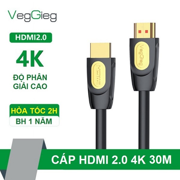 Dây Hdmi 30m Veggieg 4K VH213