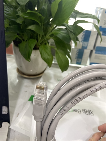 Dây mạng bấm sẵn 1.5M Cat6 Veggieg VE625 (FV)