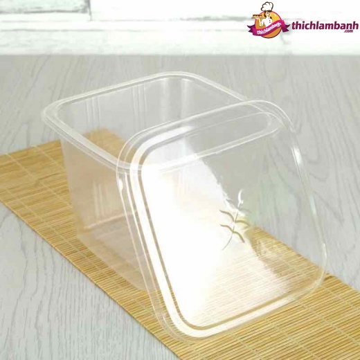 Hộp nhựa vuông nắp đậy B10 (100)