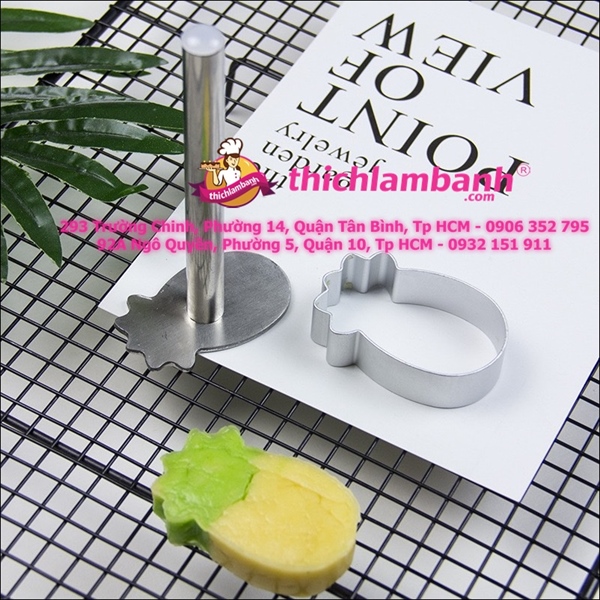 Cây nhấn bánh dứa - trái dứa