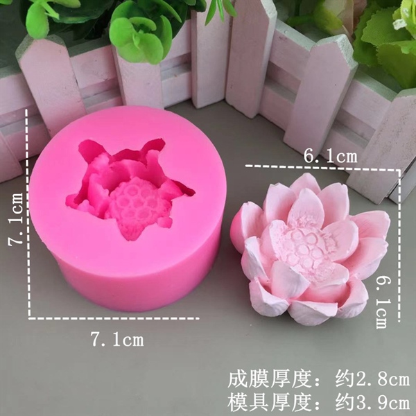 4D Silicon Hoa sen nở 6.1 H6669