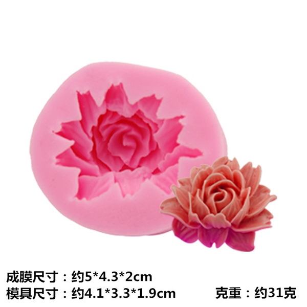 4D Silicon Hoa hồng H1791