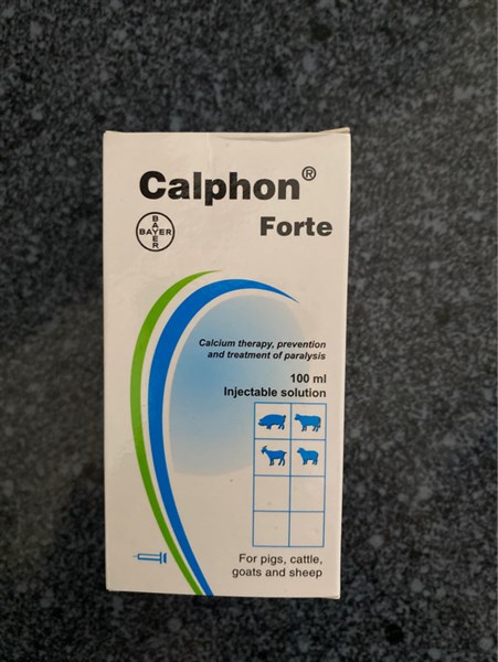 Calphon canxi ngoại - bayer