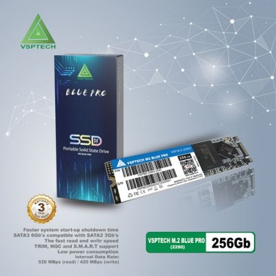 Ổ cứng SSD VSPTECH 256GB M.2 SATA 2280