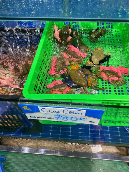 CUA CỐM Năm Căn