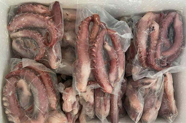 Râu Bạch Tuộc Khổng Lồ 1KG Rã Đông 500-600G