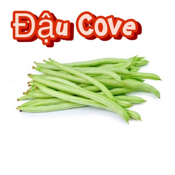 ĐẬU COVE