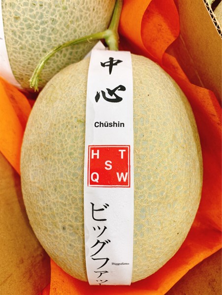 Dưa Lưới Nhật Bản