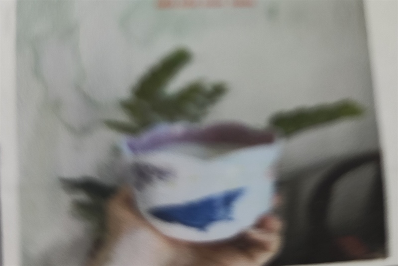 TC_Nến thơm cốc hoa 180g