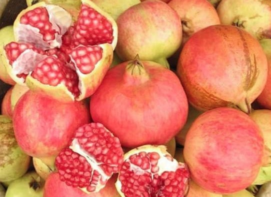 Lựu hạt mềm - Pomegranate