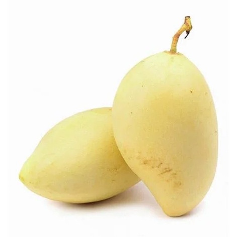 Xoài cát chu - Mango