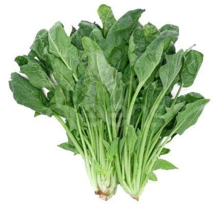 Cải bó xôi - Spinach