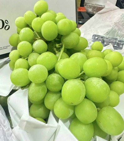Nho xanh Úc - Australian green grapes