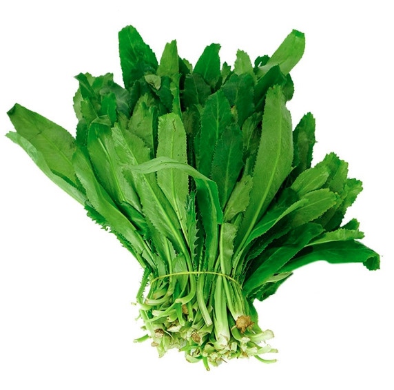 Ngò gai ( Mùi tàu) - Sawtooth coriander