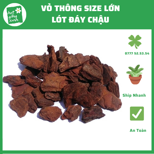 Vỏ Thông Cho Lan (1kg)