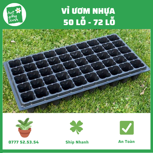 Vỉ Ươm Nhựa 52 Lỗ - 72 lỗ
