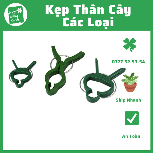 Kẹp Cá Cho Thân Cây Cà Chua, Dưa...