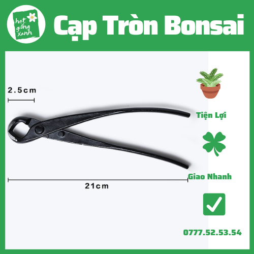 Cạp Tròn Bonsai 21cm