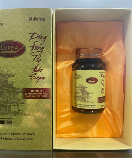 Viên đông trùng hạ thảo Sapa (Hỗ trợ bổ phế, ích thận, sức đề kháng) ( Lọ*28 viên nang) - Traphaco