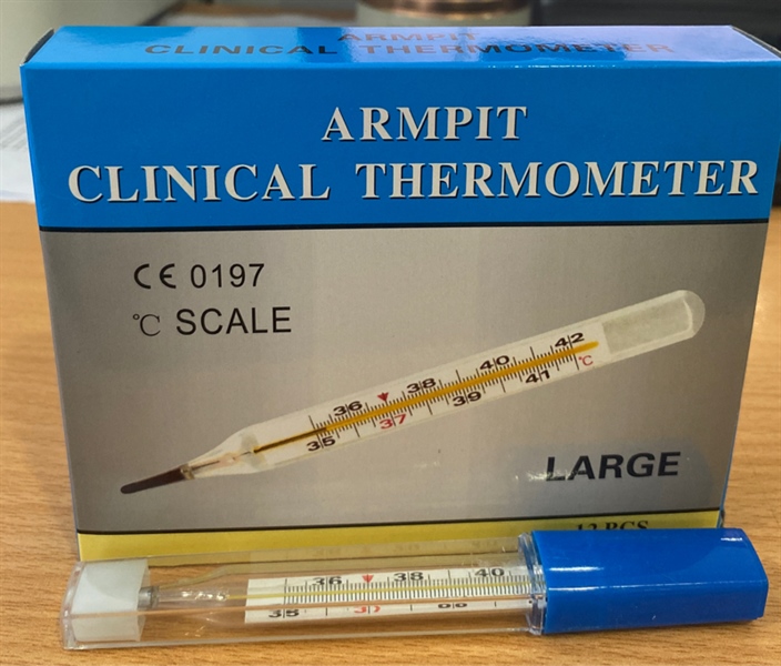 Nhiệt độ thủy ngân Large (Hộp 12 cái)