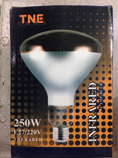 Bóng đèn hồng ngoại LL 250w - TNE