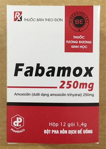 Thuốc kháng sinh Fabamox 250mg (Amoxicilin 250mg) điều trị nhiễm khuẩn (K*90H*12gói) - Tw1-Pharbaco/VN 2