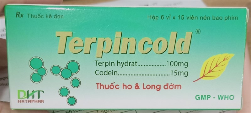 Terpincold (H*6vỉ*15viên) - Hà Tây