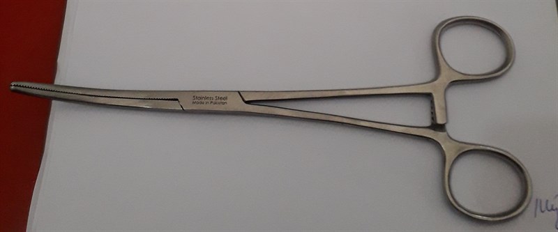 Panh cong không mấu 18cm - Goldtier Pakistan