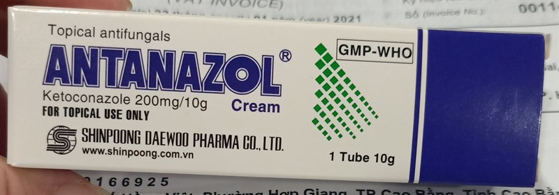 Antanazol 10g (ketoconazol) (H*20tub) - Shinpoong Daewoo VN