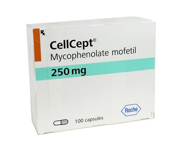 Cellcept 250mg (Mycofenolat mofetil 250mg) (H*10vỉ*10viên) - Italya