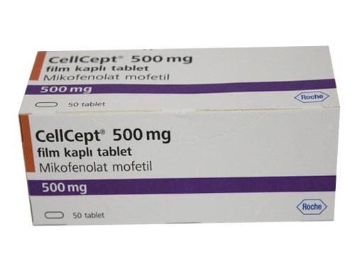 Cellcept 500mg (Mycofenolat mofetil 500mg) (H*5vỉ*10viên) - Italya