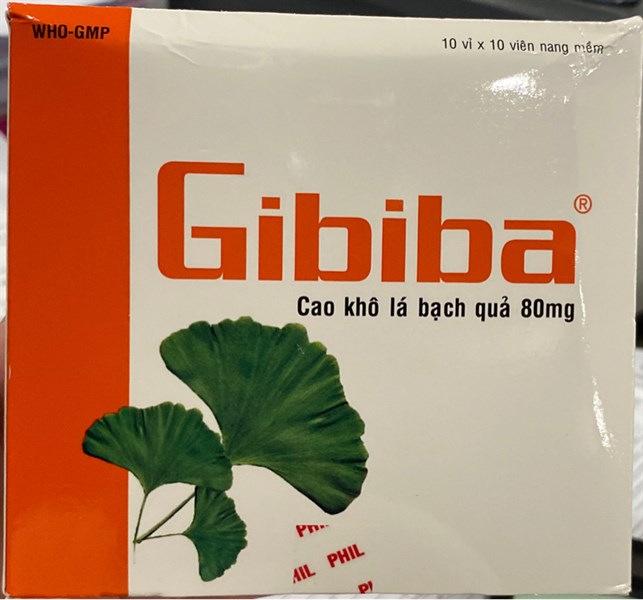 Gibiba (Ginkgo biloba leaf extract 80mg) (Hộp 10 vỉ x 10viên) - Phil Inter pharma (Phúc Lâm)