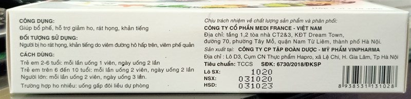 Diệu thanh bảo phế (Ho rát họng, khản tiếng) (H*3vỉ*10viên) - Vinpharma 2