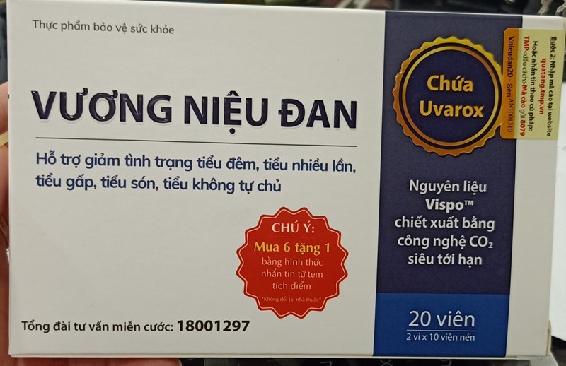 Vương niệu đan (H*2vỉ*10viên) - Thái Minh