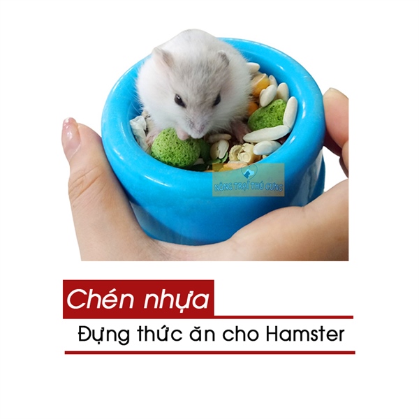 Chén Nhựa Đựng Thức Ăn Cho Hamster, Thỏ, Bọ