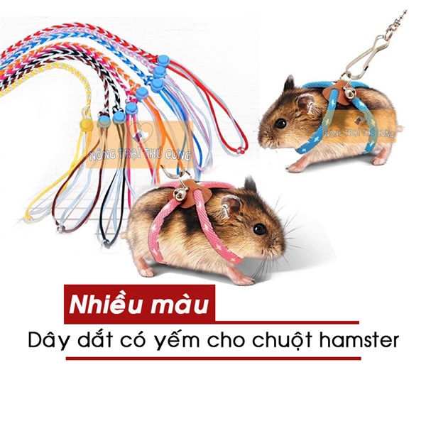 Dây Dắt Hamster, Thỏ, Bọ