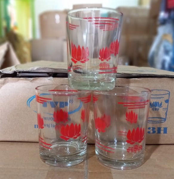 LY TRÀ 13H TVP (10H/S)