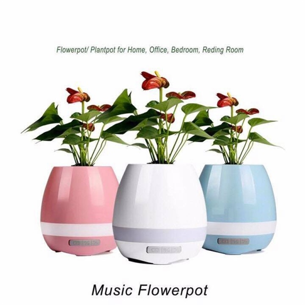 Loa Bluetooth - kiêm chậu cây trong nhà