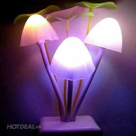 Đèn ngủ mèo hello Kitty...Bình hoa ..