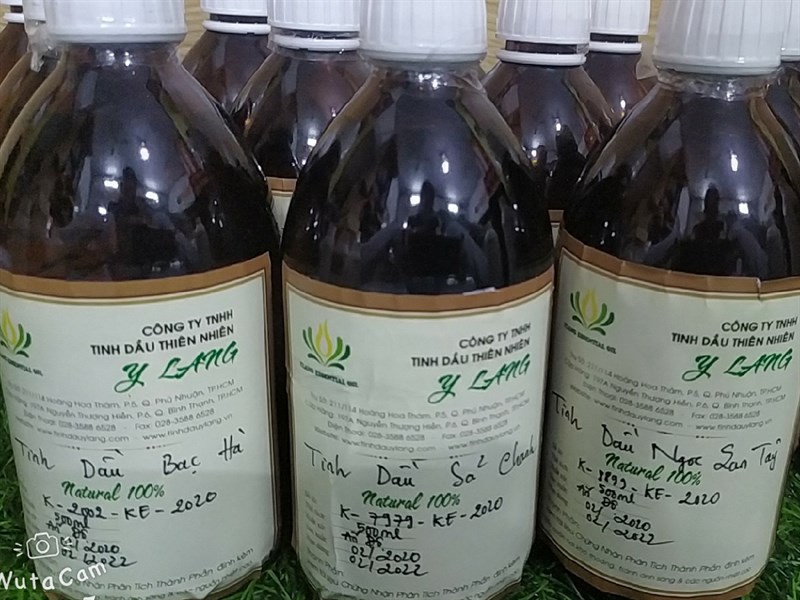 Tinh dầu thơm .0.5ml Bạc hà -Chanh Sả- Vỏ Quế -Tràm Gió - 1L _1150k