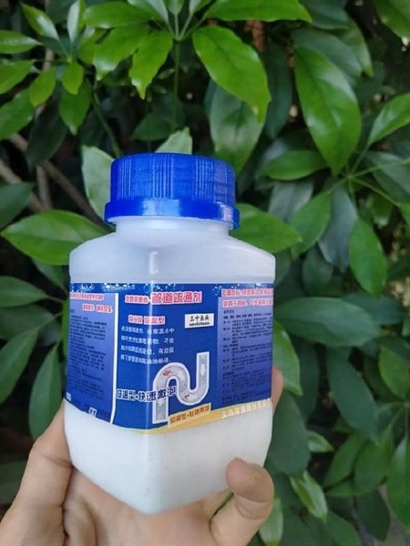 BỘT THÔNG CỐNG