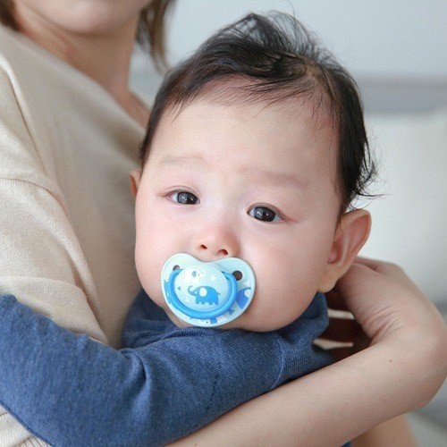 Ty Giả Pigeon Nhật Bản Voi màu xanh Size S 0-3m
