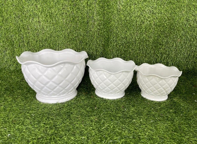 Chậu quả dứa 1 tấc 4