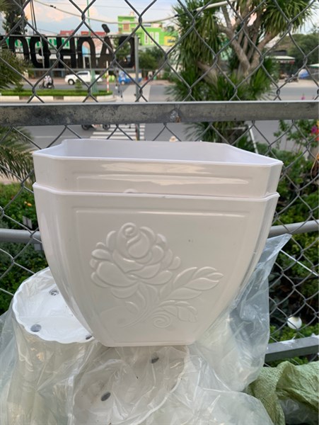 Chậu mẫu đơn 2 tấc 6